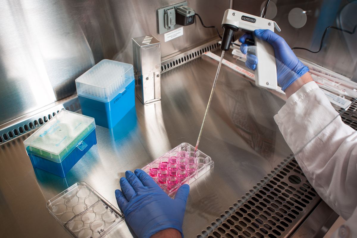 Researcher pipetting samples into a well plate in an SPRI laboratory