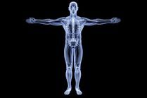 Steadman Philippon Research Institute and U.S. Olympic & Paralympic Committee to deliver fifth annual Injury Prevention Symposium virtually April 28-29 University of Calgary’s Dr. Carolyn Emery will deliver keynote address to kick off two-day event