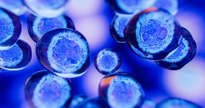 Department of Defense (DoD) Awards Nearly $1 Million to Steadman Philippon Research Institute (SPRI) for Breakthrough Study on Extracellular Vesicles Therapeutic for Joint Regeneration