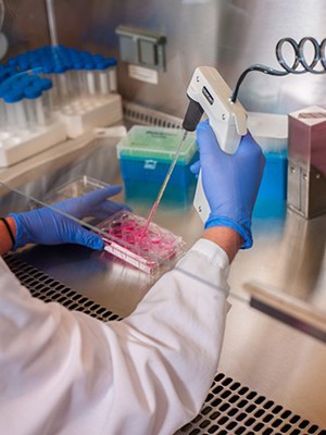  Platelet-Rich Plasma: SPRI Leads Research into Promising Method of Treatment