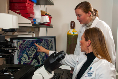 Collaboration Leads to Important Breakthroughs