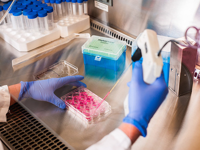 SPRI Exploring Ways That Stem Cells Can Be Used to Delay the Effects of Aging